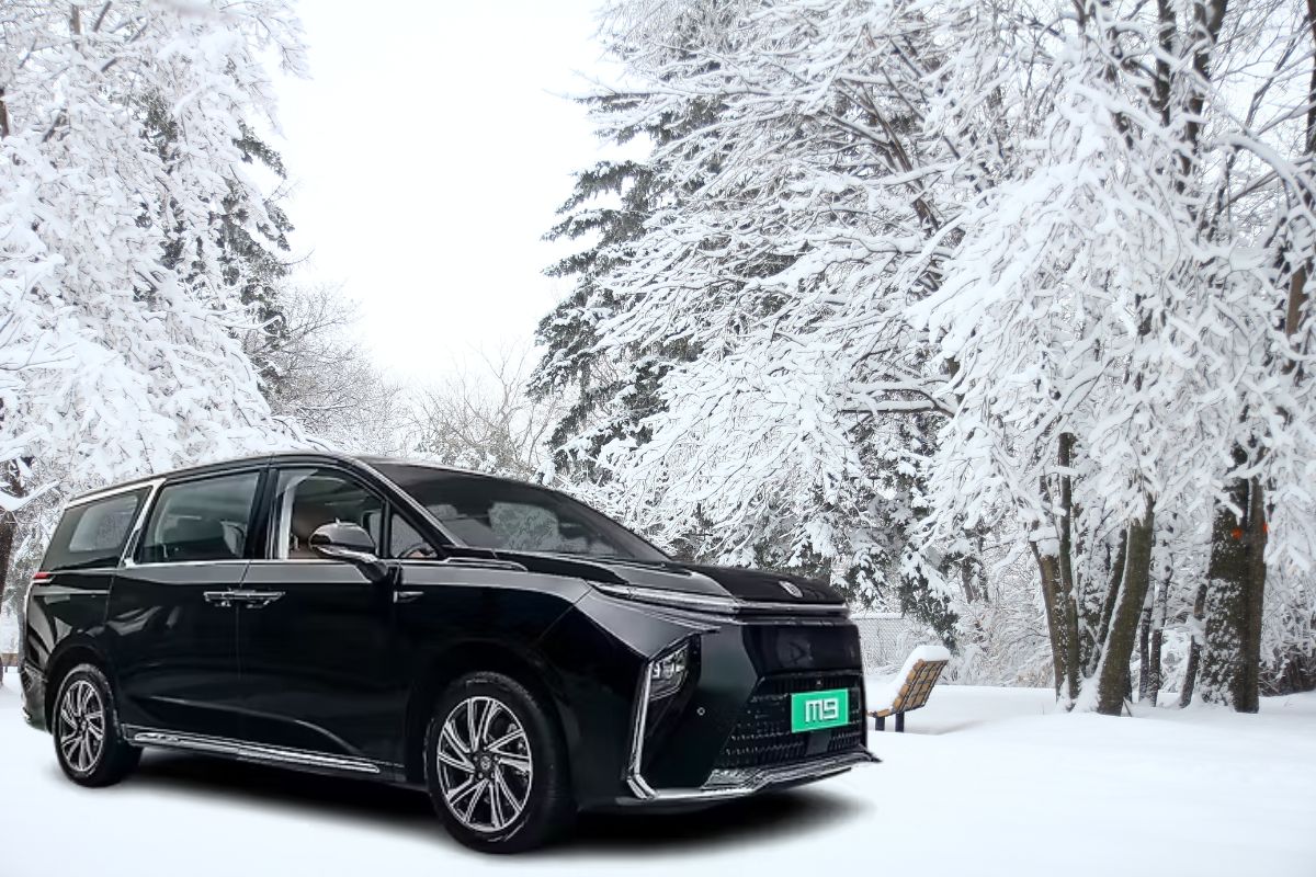 Read more about the article Mg M9 Ev Car Price In India 2026